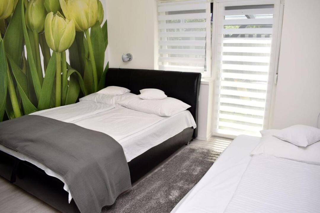 Trendi Apartman Siofok Room photo